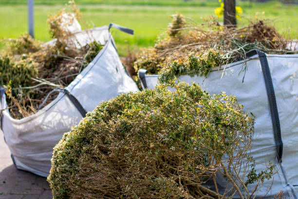 Demolition Debris Removal in Piggott, AR